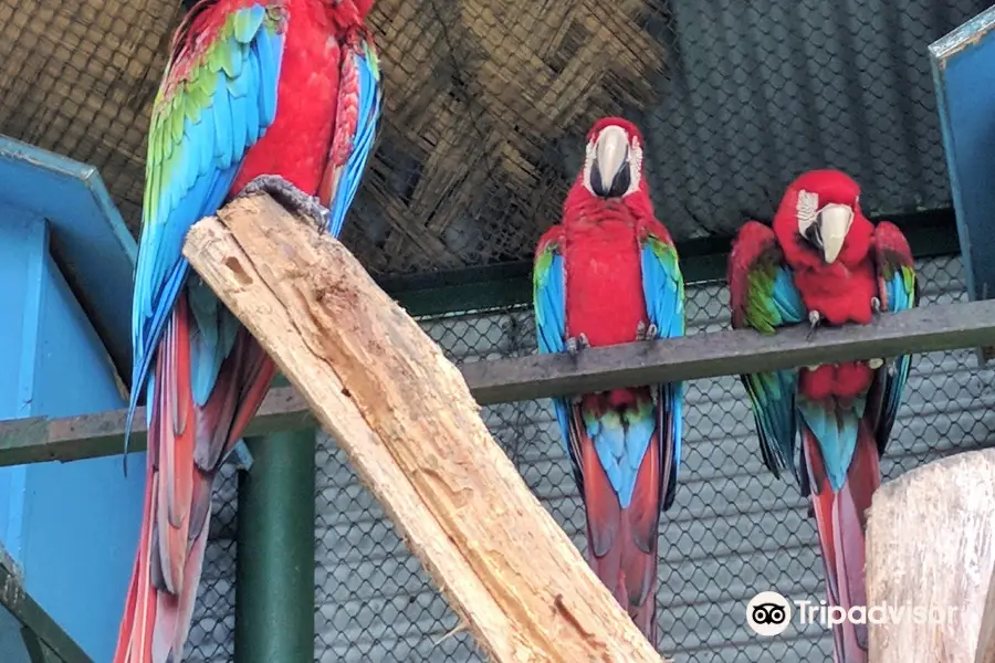 Bangabandhu Safari Park