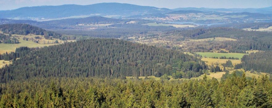 Aussichtsturm Moldaublick