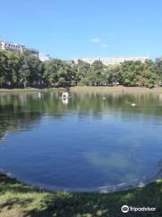 Patriarch's Ponds