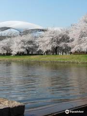 新潟県立鳥屋野潟公園 鐘木エリア