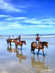 Catlins Horse Riding - Te Taunga Adventures Ltd