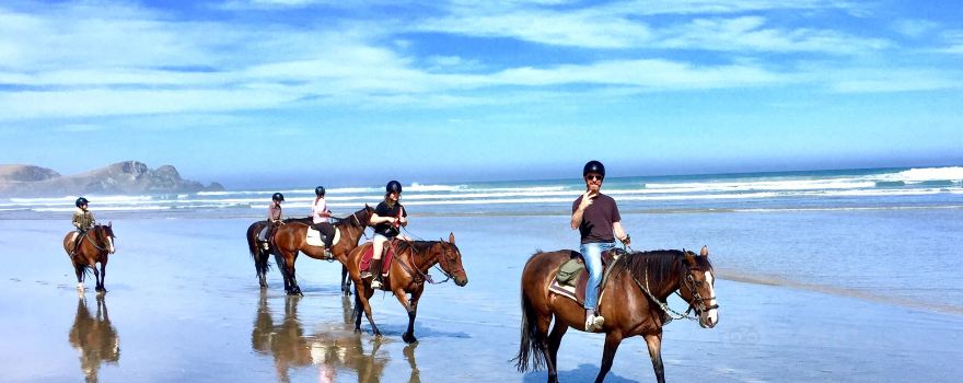Catlins Horse Riding - Te Taunga Adventures Ltd