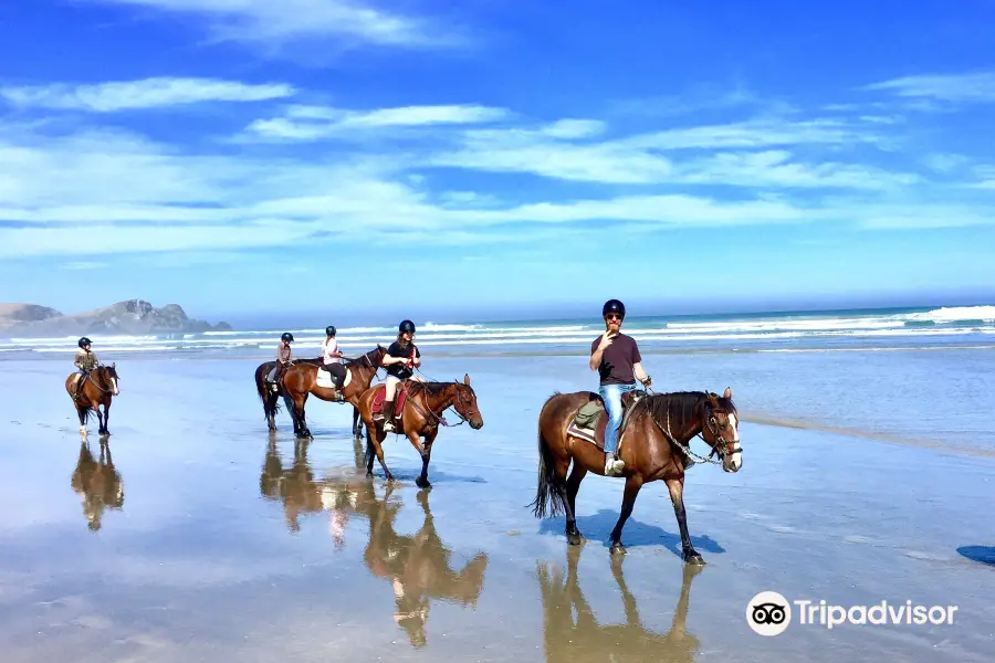 Catlins Horse Riding - Te Taunga Adventures Ltd