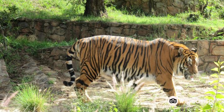 National Zoological Gardens
