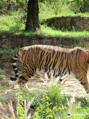 普利托裡亞動物園