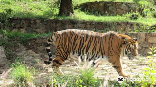 普利托裡亞動物園