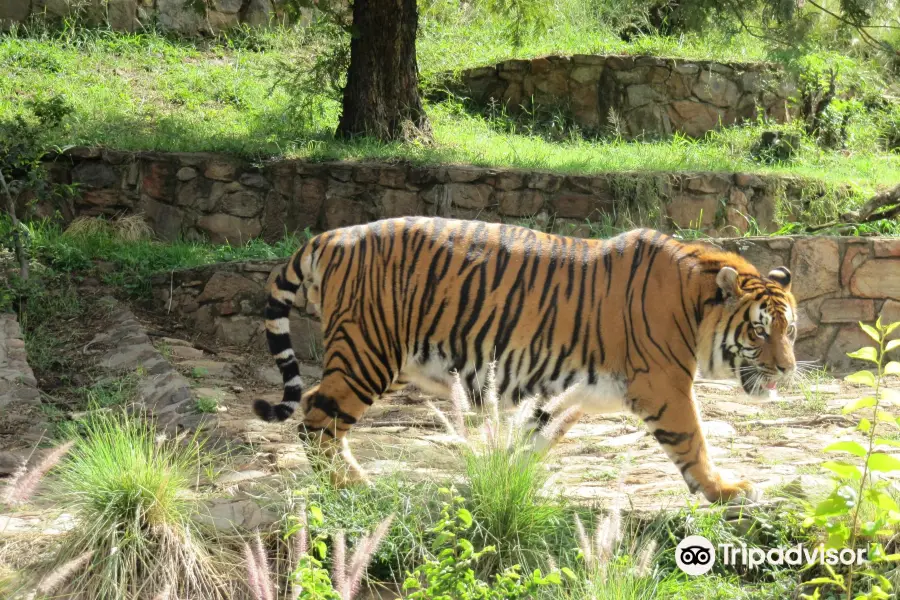 National Zoological Gardens of South Africa