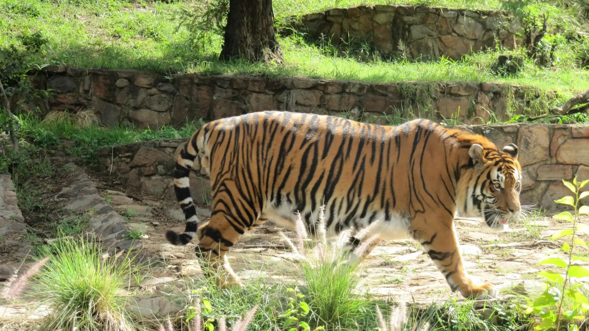 Hotels in der Nähe von National Zoological Gardens