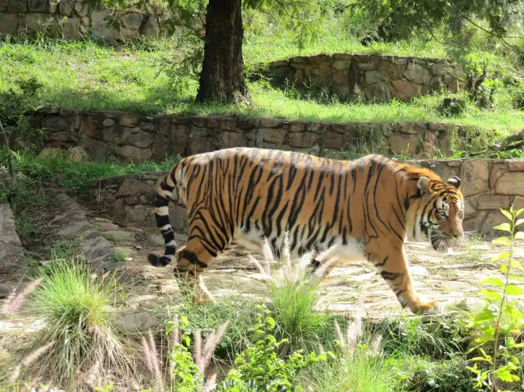 Hotels near National Zoological Gardens