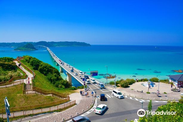 Tsunoshima Island