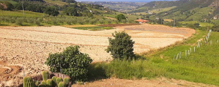 Le Caniette