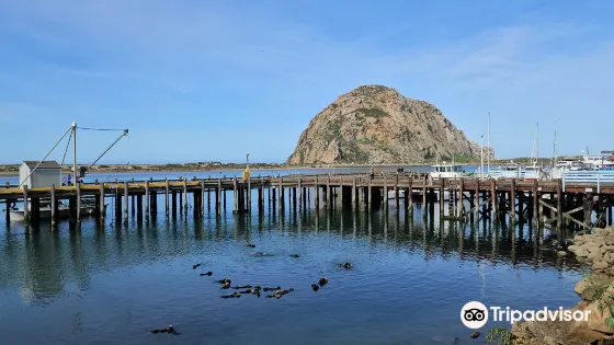Morro Bay National Estuary