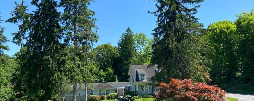 Katonah Museum of Art