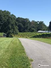 Sanders Ridge Vineyard & Winery