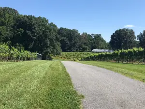 Sanders Ridge Vineyard & Winery