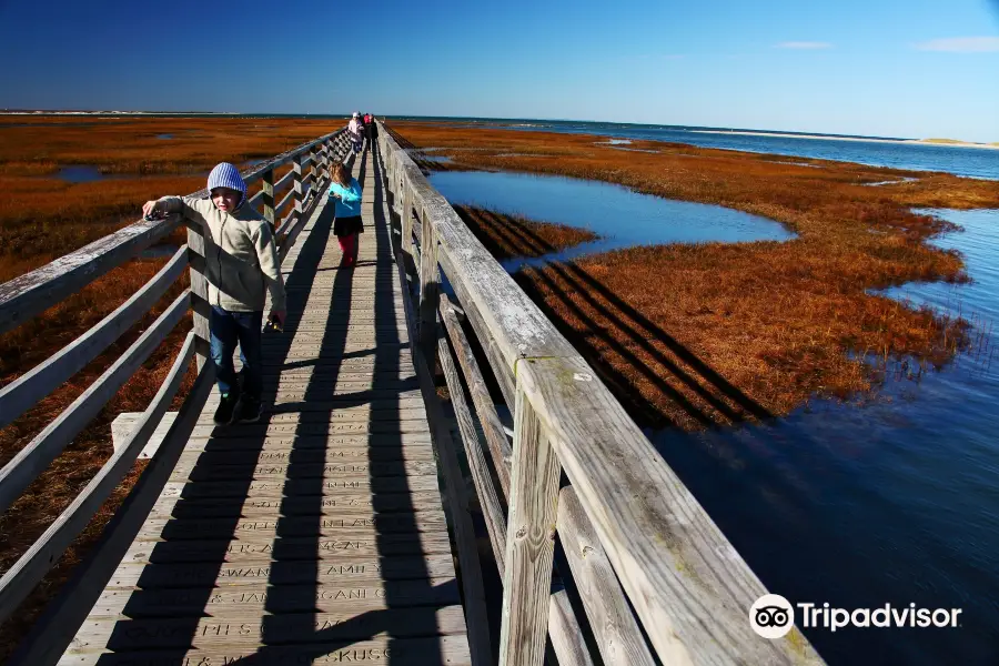 Bass Hole Boardwalk