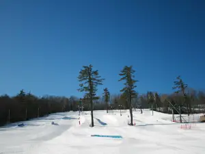 Ski Bradford