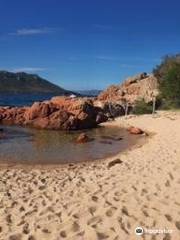 Plage de Saint-Cyprien