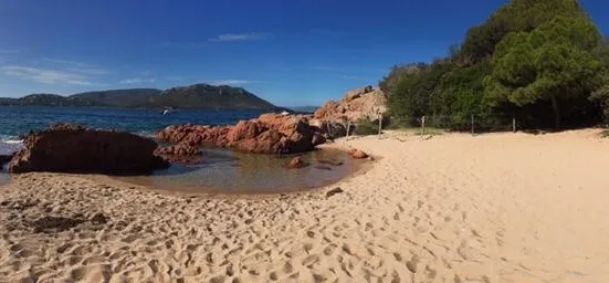 Plage de Saint-Cyprien