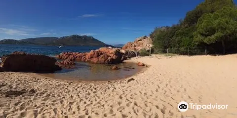 Plage de Saint-Cyprien