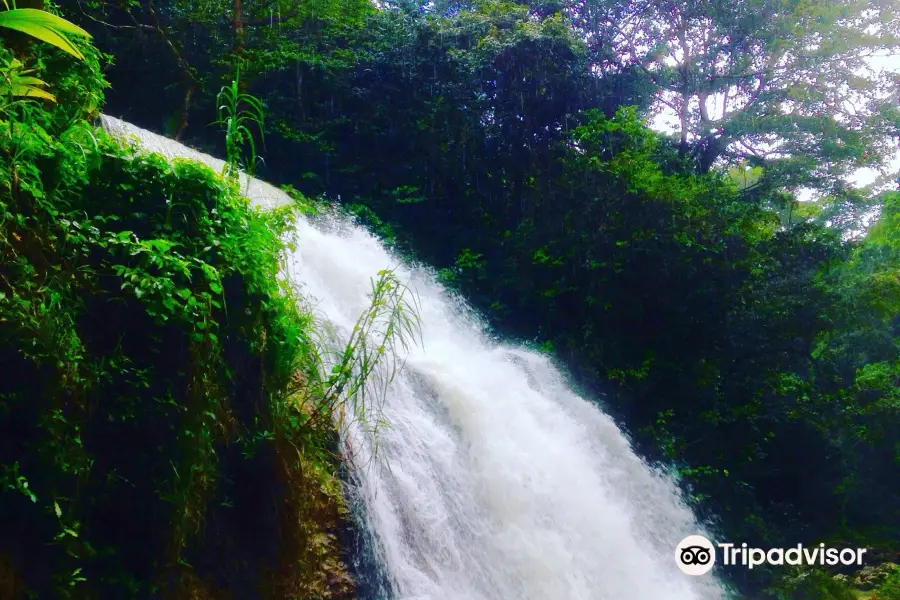 Rio la planta Arecibo