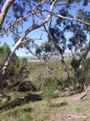 Altona CSR Landcare Reserve south australia