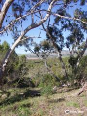 Altona CSR Landcare Reserve