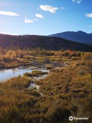 Source of the Columbia River Trail