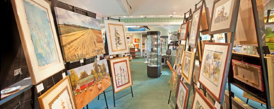 Twisted Fish Gallery