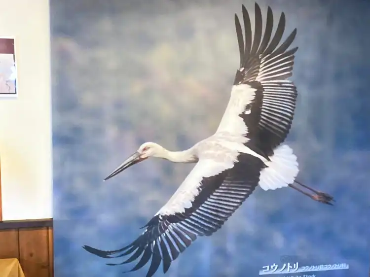 Hotels near Kounotori - Stork Sanctuary