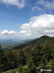 Mt Mitchell