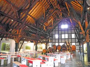 烏爾巴赫葡萄種植博物館