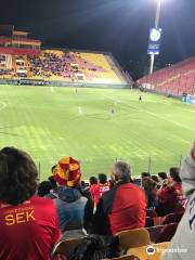 Estadio Santa Laura