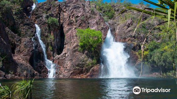Magnetic Termite Mounds
