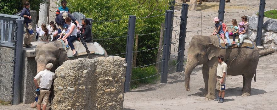 Knie's Kinderzoo
