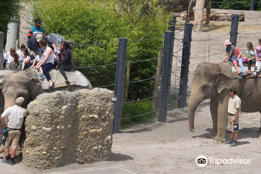 Knies Kinderzoo Rapperswil