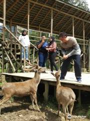 Kampung Cai Ranca Upas