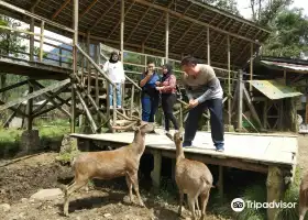 Kampung Cai Ranca Upas