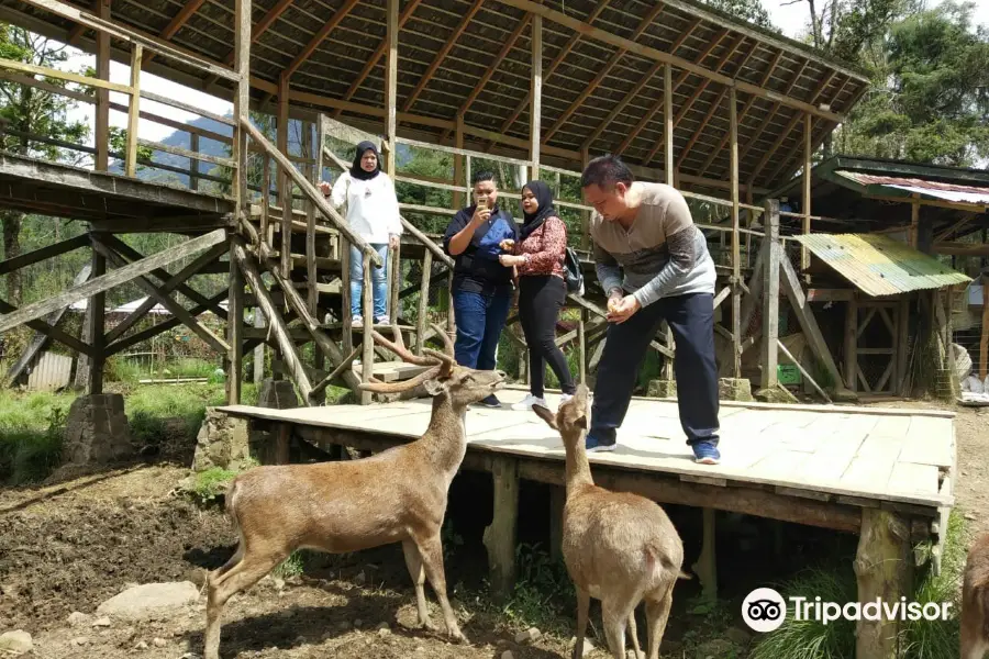 Kampung Cai Ranca Upas