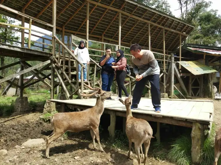 Hotel in zona Kebun Kopi Abah