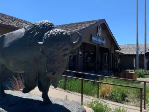 National Buffalo Museum