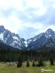 Bosque nacional de Wenatchee