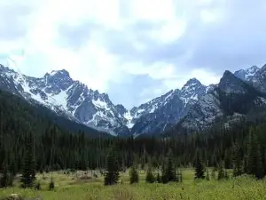 Bosque nacional de Wenatchee