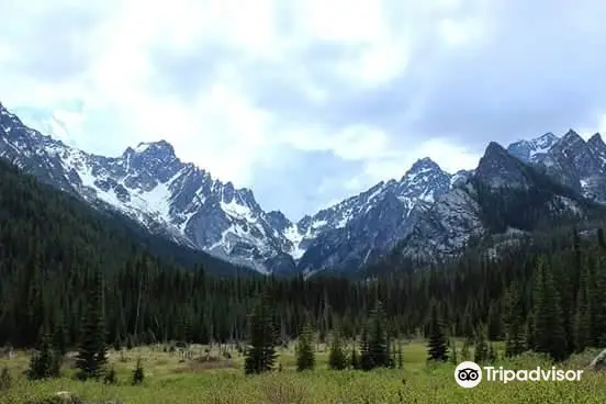 Okanogan-Wenatchee National Forest