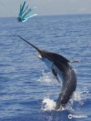 Anxious Sportfishing Charters