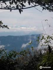 Sendero Bosque del Cielo