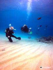 Dive Cabarete