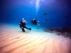 Dive Cabarete