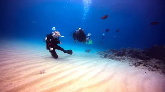 Dive Cabarete