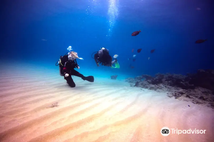 Dive Cabarete